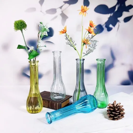 Florero de cristal transparente con forma de bola hidropónica, planta de agua en relieve con boca cortada